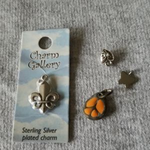 Bundle of charms